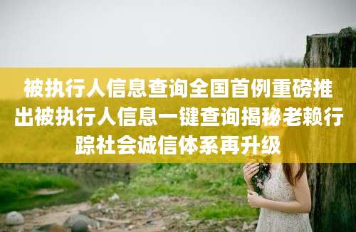 被执行人信息查询全国首例重磅推出被执行人信息一键查询揭秘老赖行踪社会诚信体系再升级