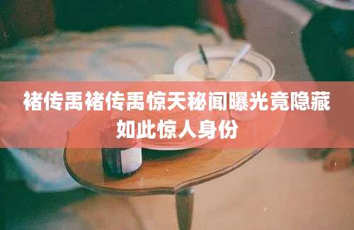 褚传禹褚传禹惊天秘闻曝光竟隐藏如此惊人身份