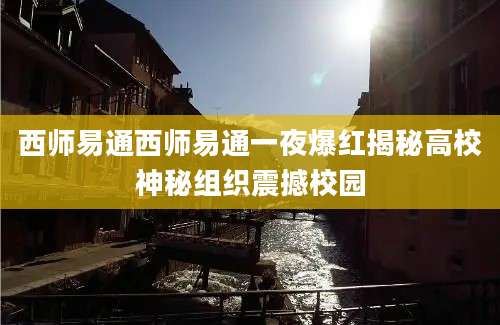 西师易通西师易通一夜爆红揭秘高校神秘组织震撼校园