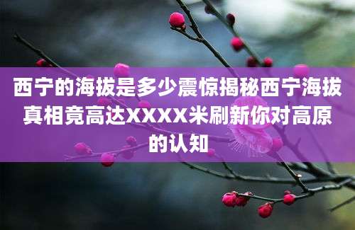 西宁的海拔是多少震惊揭秘西宁海拔真相竟高达XXXX米刷新你对高原的认知
