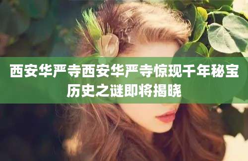 西安华严寺西安华严寺惊现千年秘宝历史之谜即将揭晓