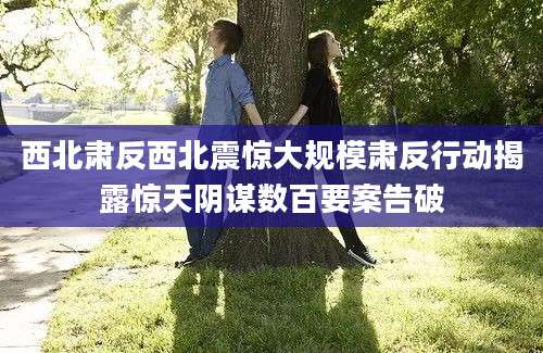 西北肃反西北震惊大规模肃反行动揭露惊天阴谋数百要案告破