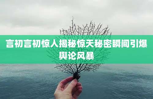 言初言初惊人揭秘惊天秘密瞬间引爆舆论风暴