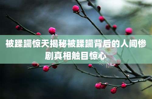 被蹂躏惊天揭秘被蹂躏背后的人间惨剧真相触目惊心