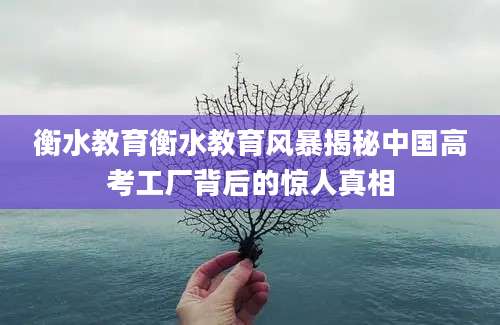 衡水教育衡水教育风暴揭秘中国高考工厂背后的惊人真相