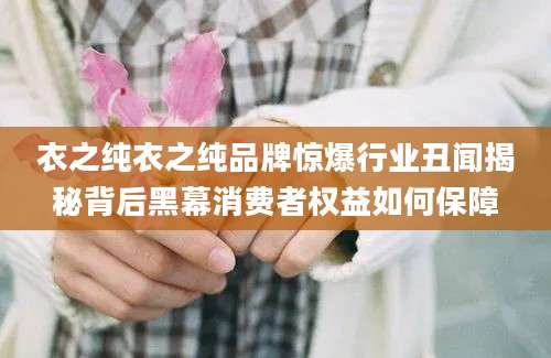衣之纯衣之纯品牌惊爆行业丑闻揭秘背后黑幕消费者权益如何保障