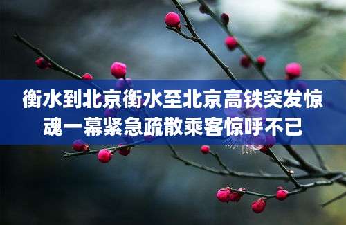 衡水到北京衡水至北京高铁突发惊魂一幕紧急疏散乘客惊呼不已