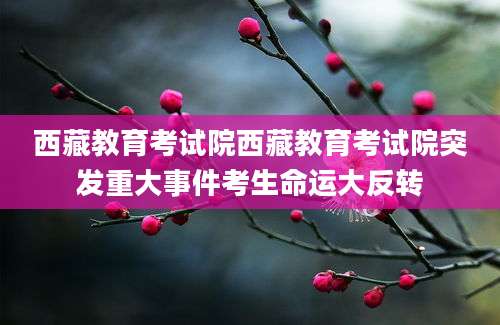 西藏教育考试院西藏教育考试院突发重大事件考生命运大反转