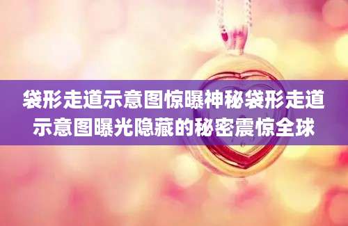 袋形走道示意图惊曝神秘袋形走道示意图曝光隐藏的秘密震惊全球