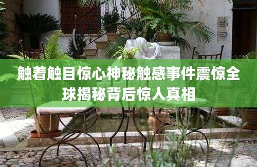 触着触目惊心神秘触感事件震惊全球揭秘背后惊人真相