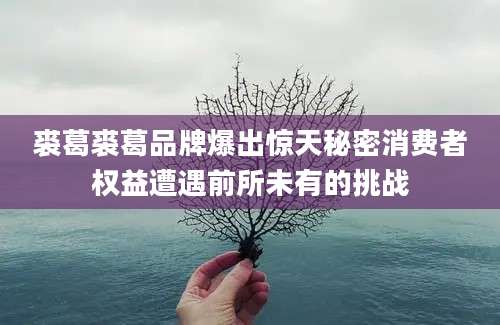 裘葛裘葛品牌爆出惊天秘密消费者权益遭遇前所未有的挑战