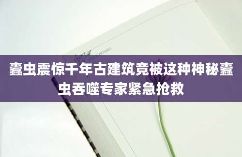 蠹虫震惊千年古建筑竟被这种神秘蠹虫吞噬专家紧急抢救