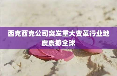 西克西克公司突发重大变革行业地震震撼全球