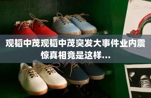 观韬中茂观韬中茂突发大事件业内震惊真相竟是这样...