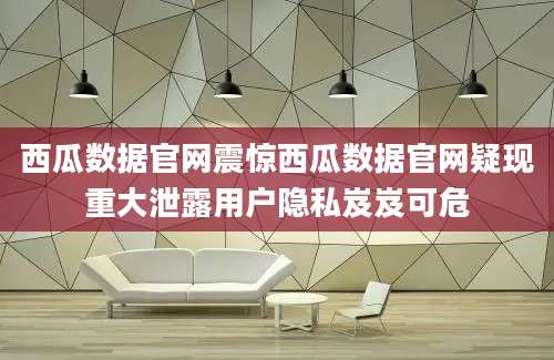 西瓜数据官网震惊西瓜数据官网疑现重大泄露用户隐私岌岌可危