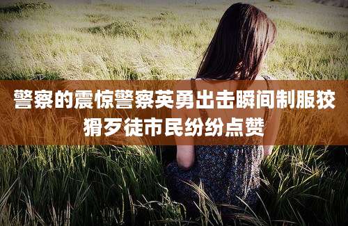 警察的震惊警察英勇出击瞬间制服狡猾歹徒市民纷纷点赞