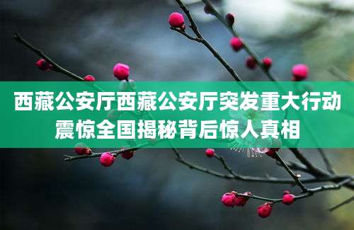 西藏公安厅西藏公安厅突发重大行动震惊全国揭秘背后惊人真相