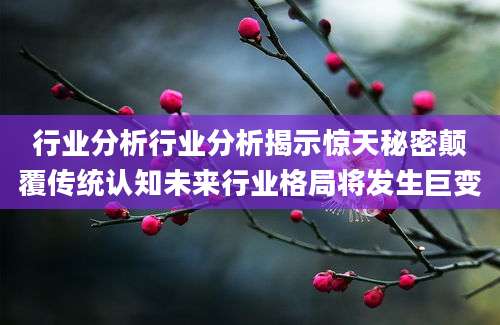 行业分析行业分析揭示惊天秘密颠覆传统认知未来行业格局将发生巨变