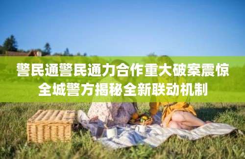 警民通警民通力合作重大破案震惊全城警方揭秘全新联动机制