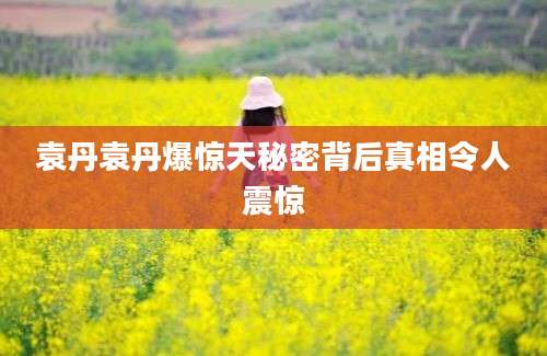 袁丹袁丹爆惊天秘密背后真相令人震惊