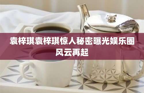 袁梓琪袁梓琪惊人秘密曝光娱乐圈风云再起