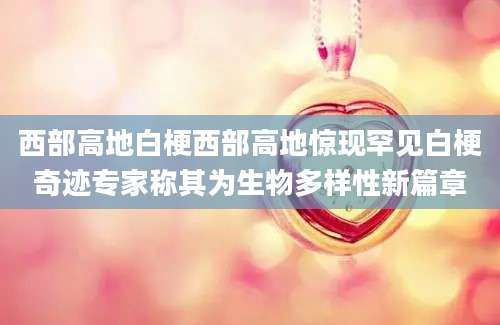 西部高地白梗西部高地惊现罕见白梗奇迹专家称其为生物多样性新篇章