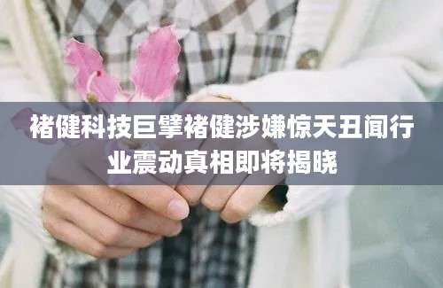 褚健科技巨擘褚健涉嫌惊天丑闻行业震动真相即将揭晓