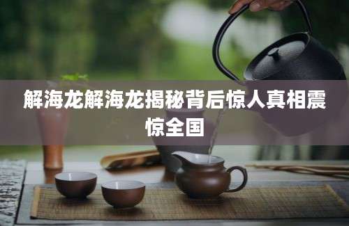 解海龙解海龙揭秘背后惊人真相震惊全国