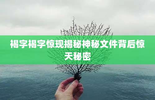 褐字褐字惊现揭秘神秘文件背后惊天秘密