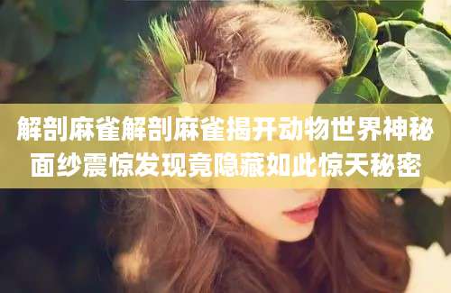 解剖麻雀解剖麻雀揭开动物世界神秘面纱震惊发现竟隐藏如此惊天秘密